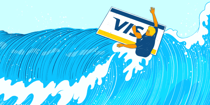 Visa stock