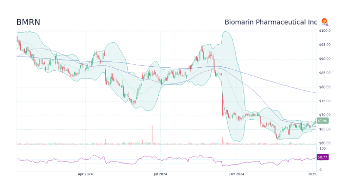 Bmrn stock price