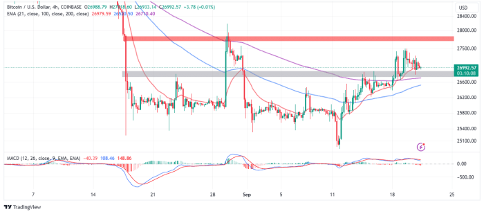 Fbtc stock price