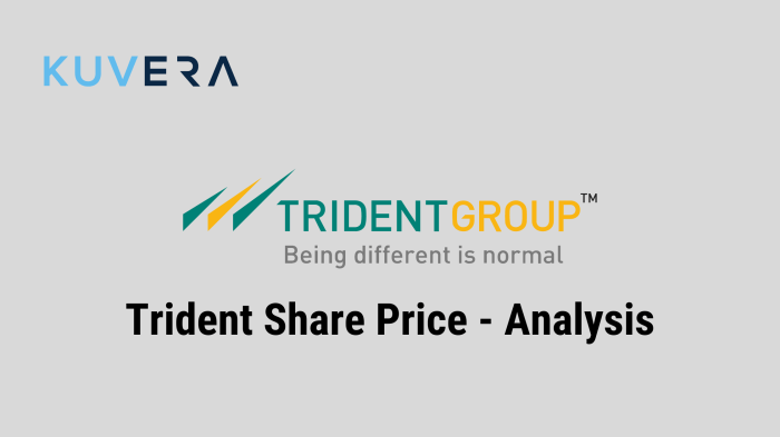 Trident ltd stock price