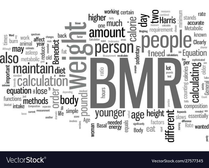 Bmr stock price